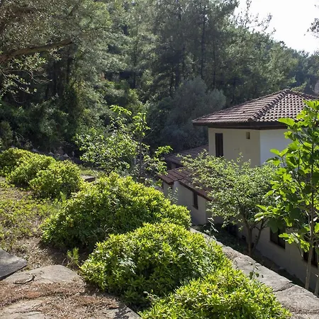 No.25 - Private Pool & Outdoors - Orhaniye